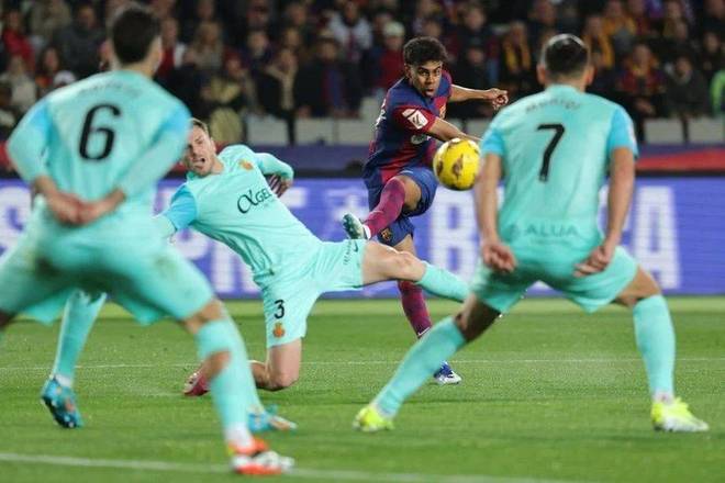 能稳循环 能稳循环